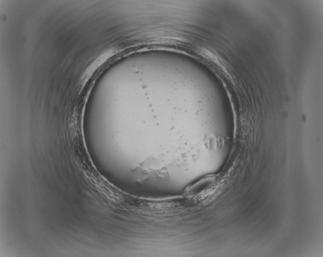 X0000067870875200604201215