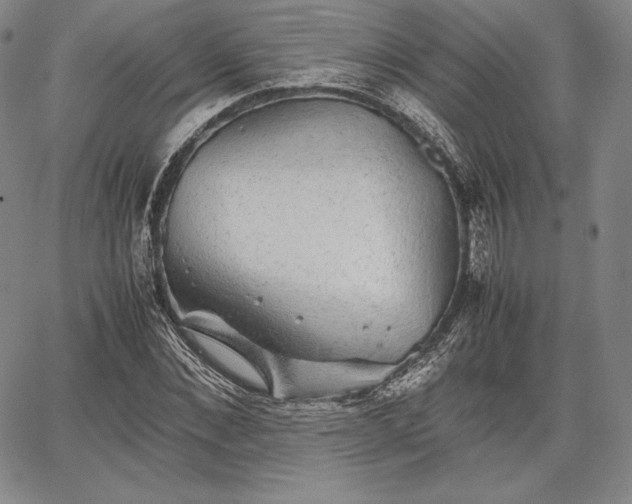 X0000067870876200604201215