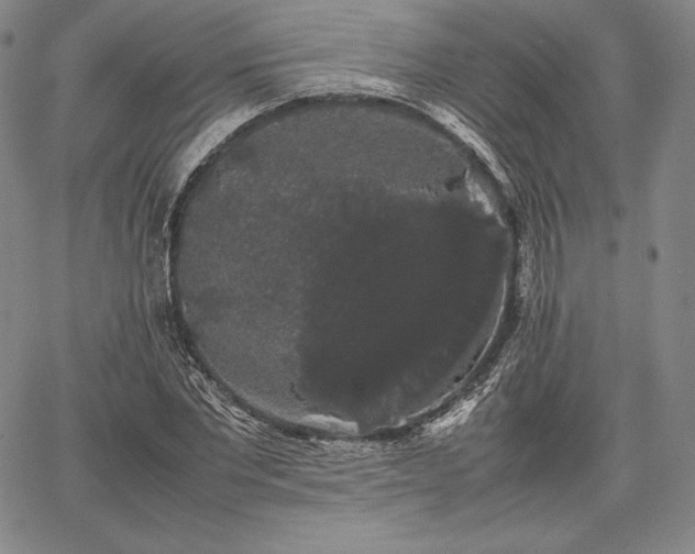 X0000067870877200604201215