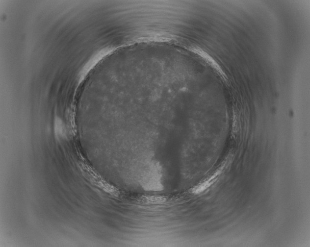 X0000067870878200604201215