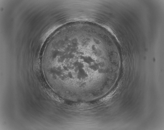 X0000067870879200604201215