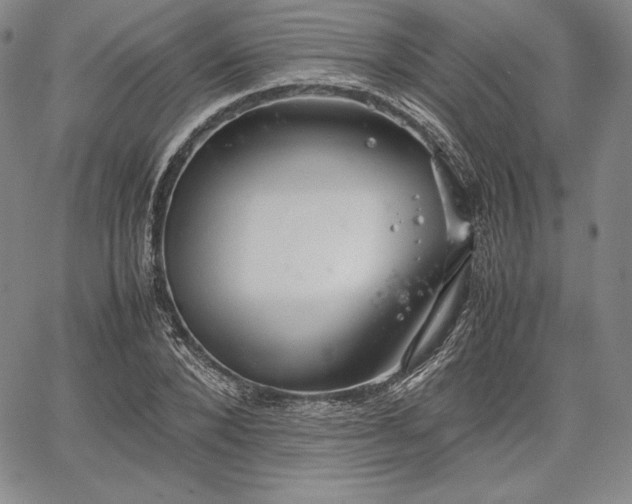 X0000067870880200604201215