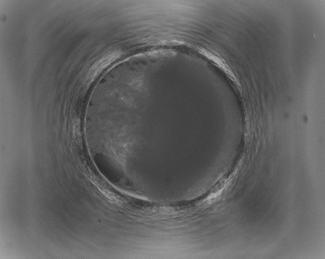 X0000067870881200604201215