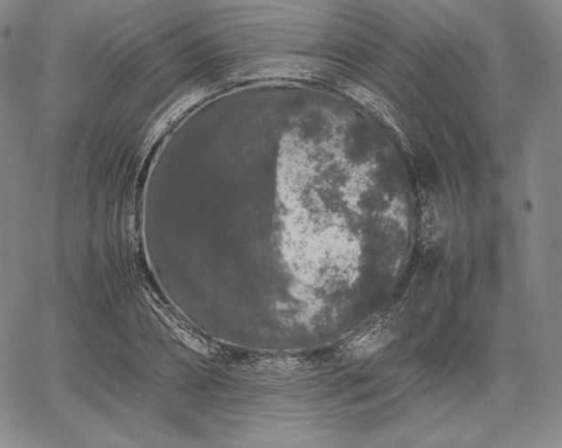 X0000067870882200604201215