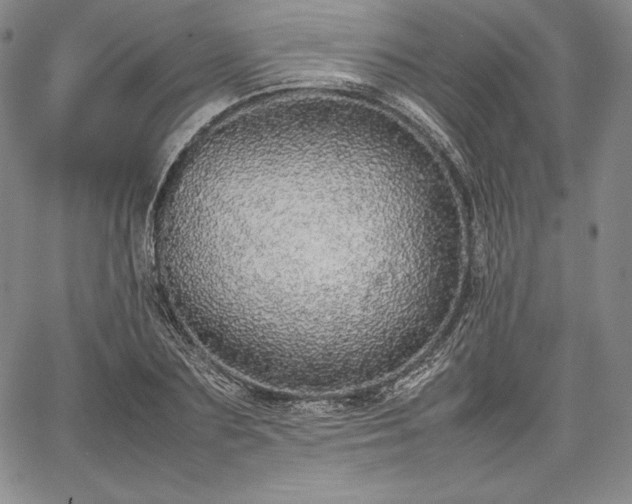 X0000067870883200604201215