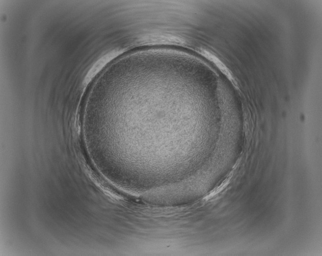 X0000067870885200604201215