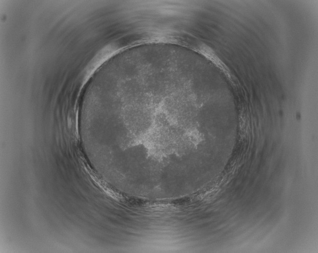 X0000067870886200604201215