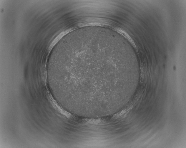 X0000067870890200604201215