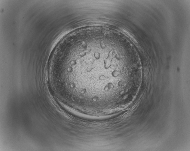 X0000067870891200604201215