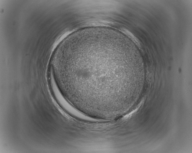 X0000067870893200604201215