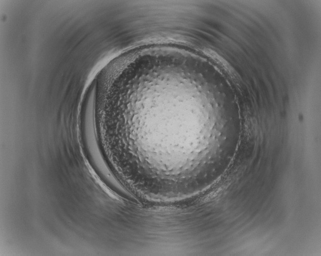 X0000067870894200604201215