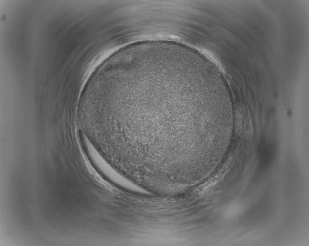 X0000067870895200604201215