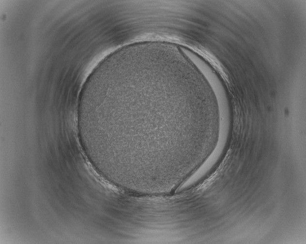 X0000067870896200604201215