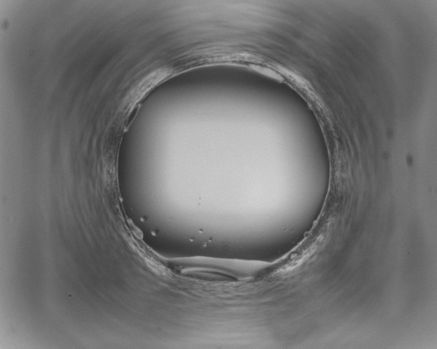 X0000067870897200604201215