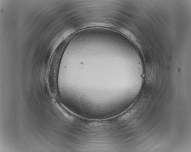 X0000067870898200604201215