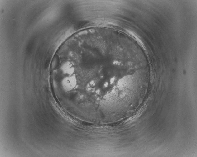 X0000067870899200604201215