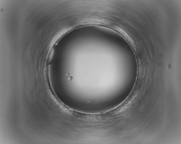 X0000067870901200604201215