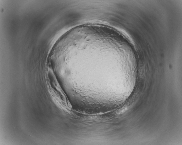 X0000067870903200604201215