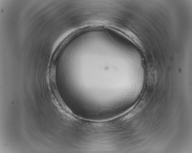 X0000067870904200604201215