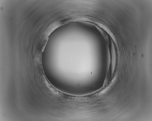 X0000067870905200604201215