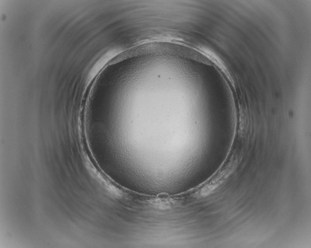 X0000067870906200604201215