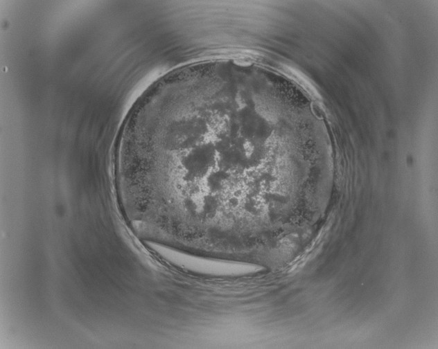 X0000067870907200604201215