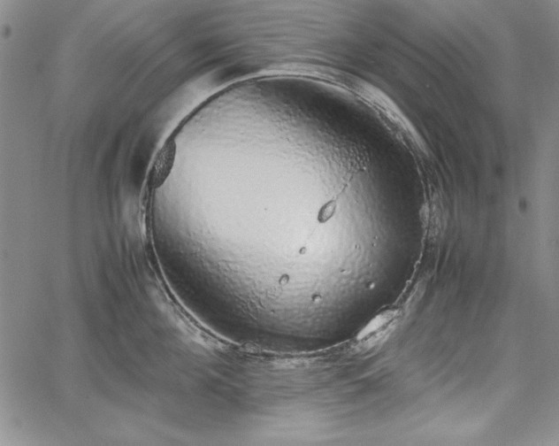 X0000067870908200604201215