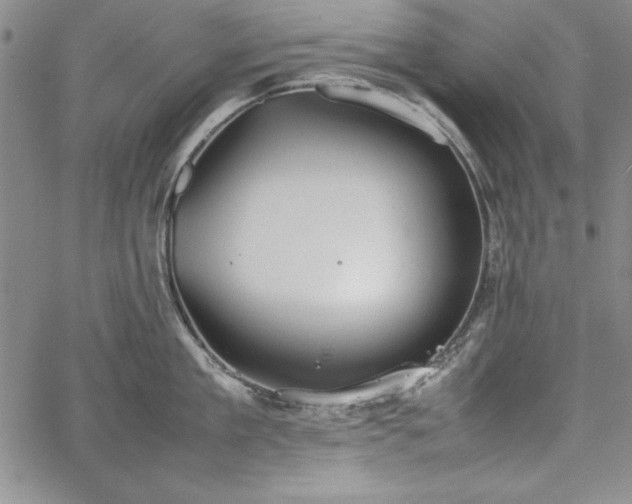 X0000067870909200604201215