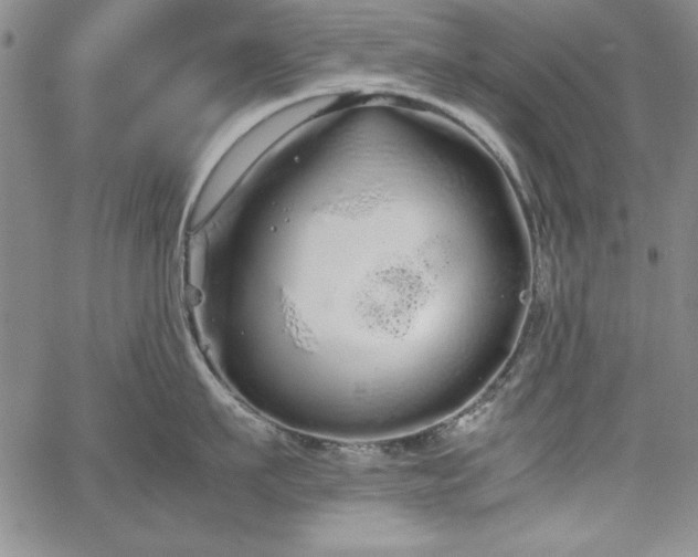 X0000067870911200604201214