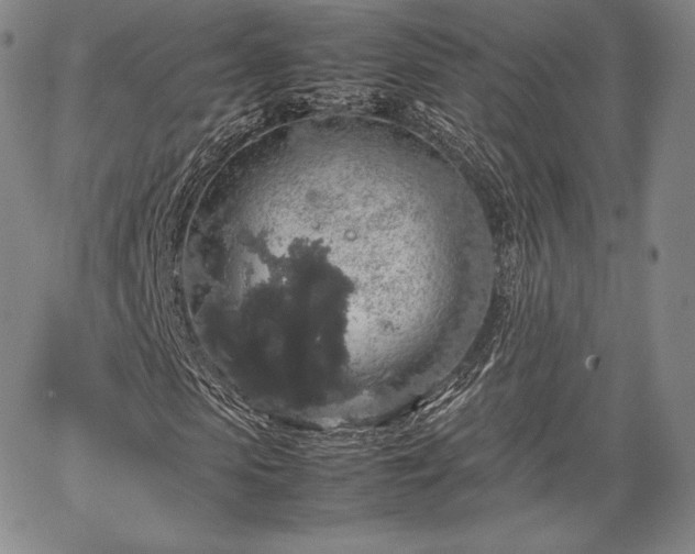 X0000067870913200604201214