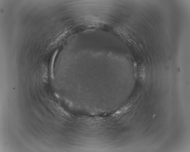 X0000067870916200604201214