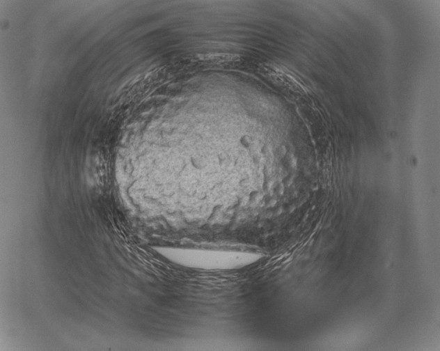 X0000067870917200604201214