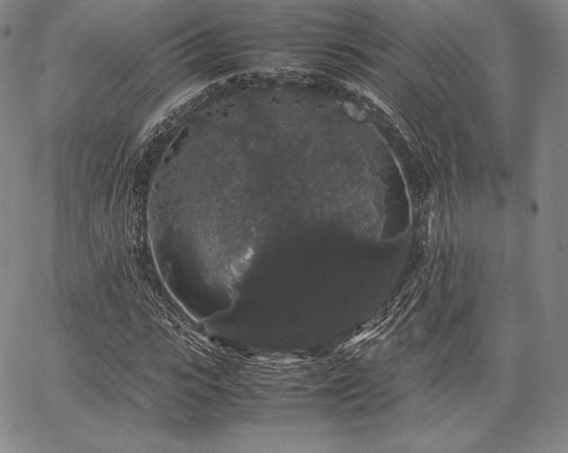 X0000067870919200604201214