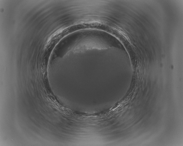 X0000067870920200604201214