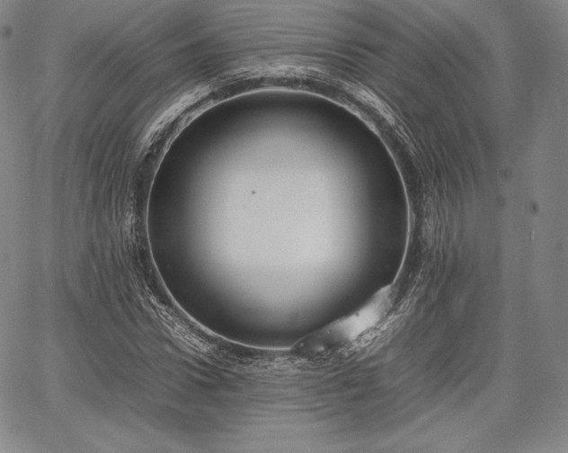 X0000067870922200604201214