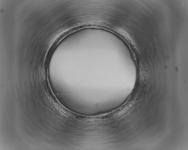 X0000067870924200604201214