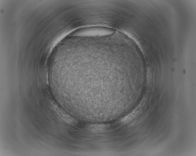 X0000067870925200604201214