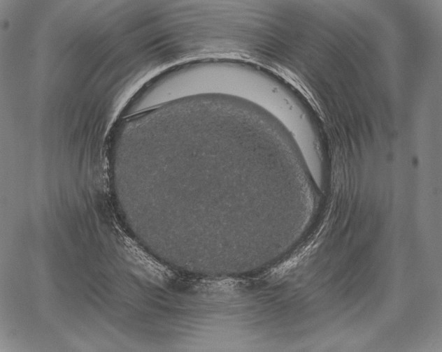 X0000067870926200604201214