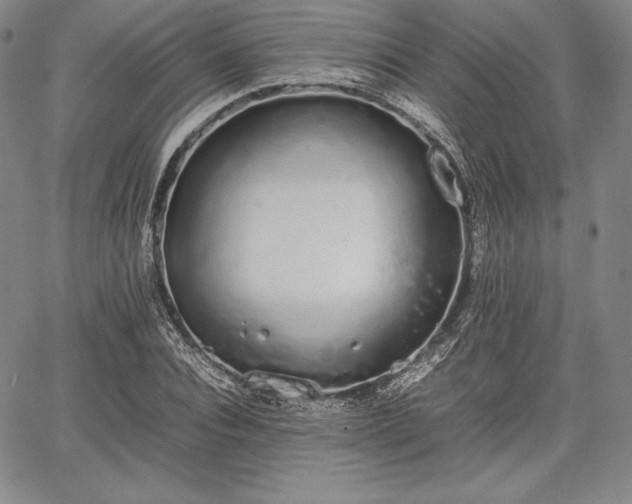 X0000067870928200604201214