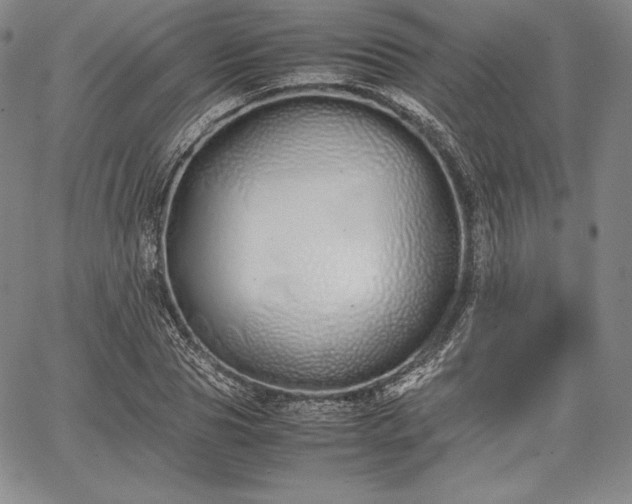 X0000067870929200604201214