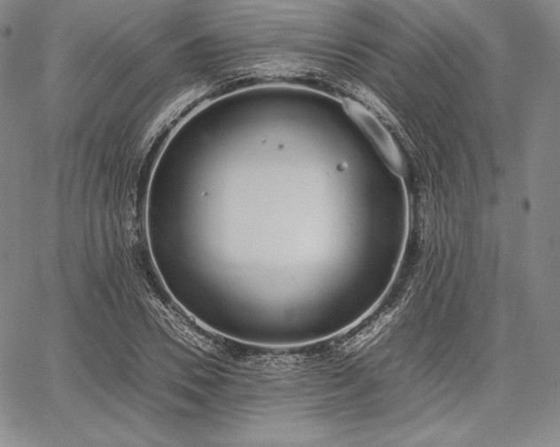 X0000067870930200604201214