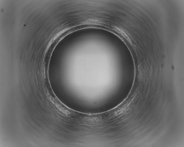 X0000067870931200604201214