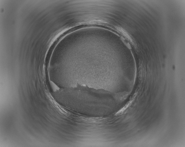 X0000067870932200604201214