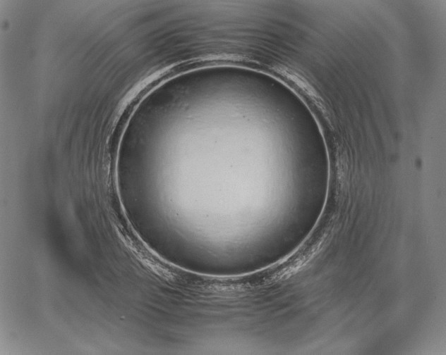 X0000067870933200604201214