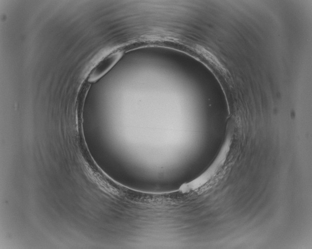 X0000067870934200604201214