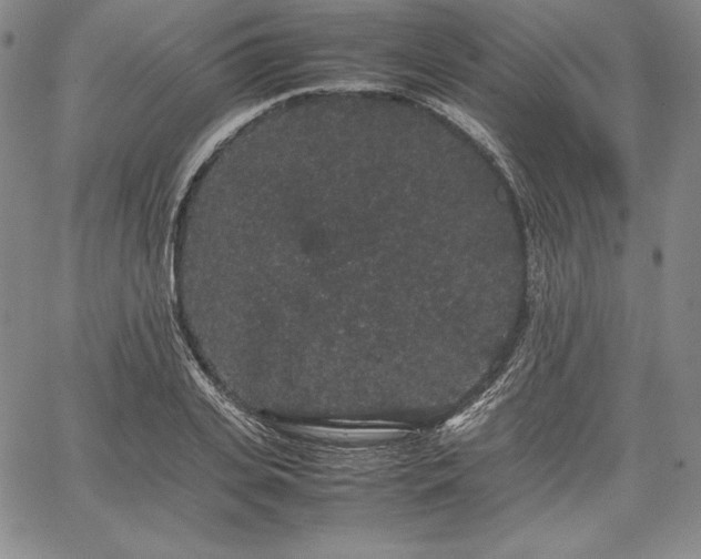 X0000067870935200604201214