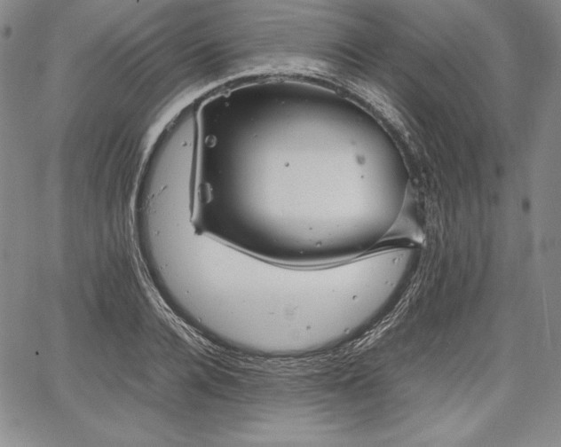 X0000067870936200604201214