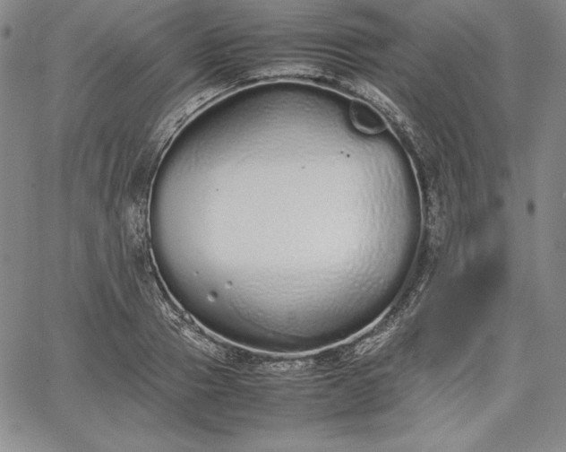 X0000067870937200604201214