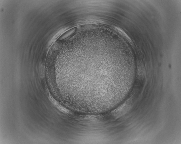 X0000067870938200604201214