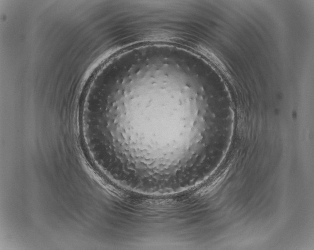 X0000067870939200604201214